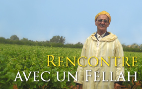 rencontre avec Mohammed fellah