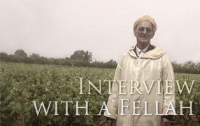 rencontre avec Mohammed fellah