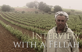 rencontre avec Abdelkader fellah