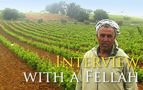 rencontre avec Abdelkader fellah