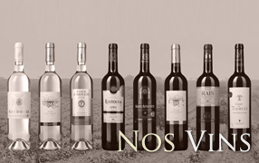 Les vins algériens de GCO