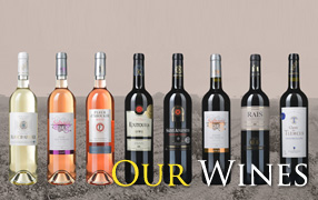 Les vins algériens de GCO