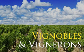 Vignobles et vignerons d'Algérie