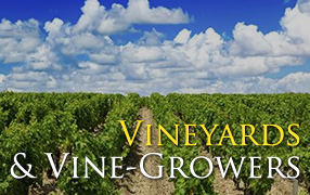 Vignobles et vignerons d'Algérie