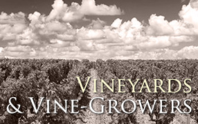 Vignobles et vignerons d'Algérie